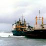 M.V. Tuvalu aground at Glenburn, January 1967.